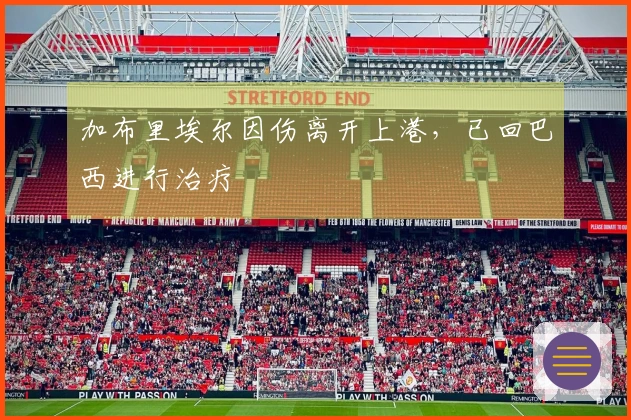加布里埃尔因伤离开上港，已回巴西进行治疗