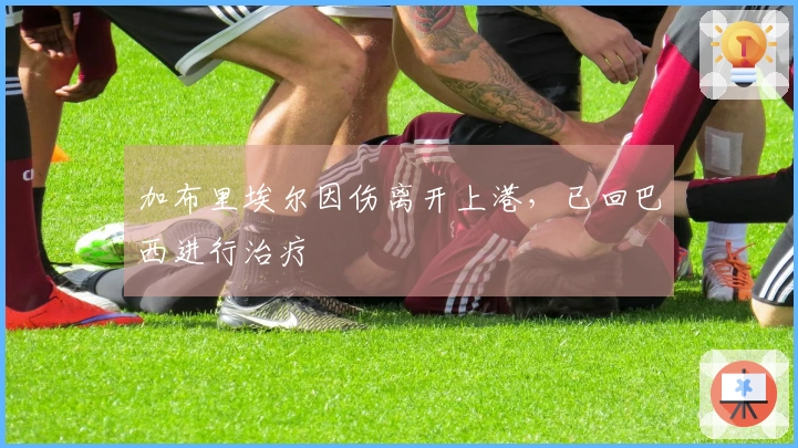 加布里埃尔因伤离开上港，已回巴西进行治疗